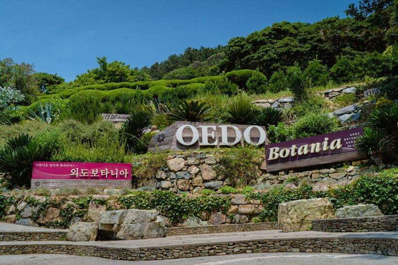 Busan: Geoje Coastal Escape, Sea Breeze, Oedo Botania Island - Windy Hill and the Dojangpo boat ride