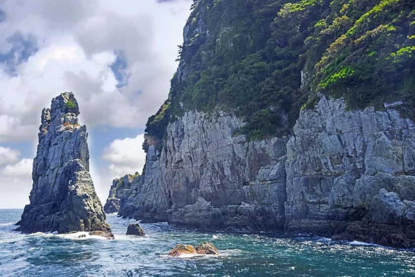 Busan: Geoje Coastal Escape, Sea Breeze, Oedo Botania Island - The final Windy Hill stop
