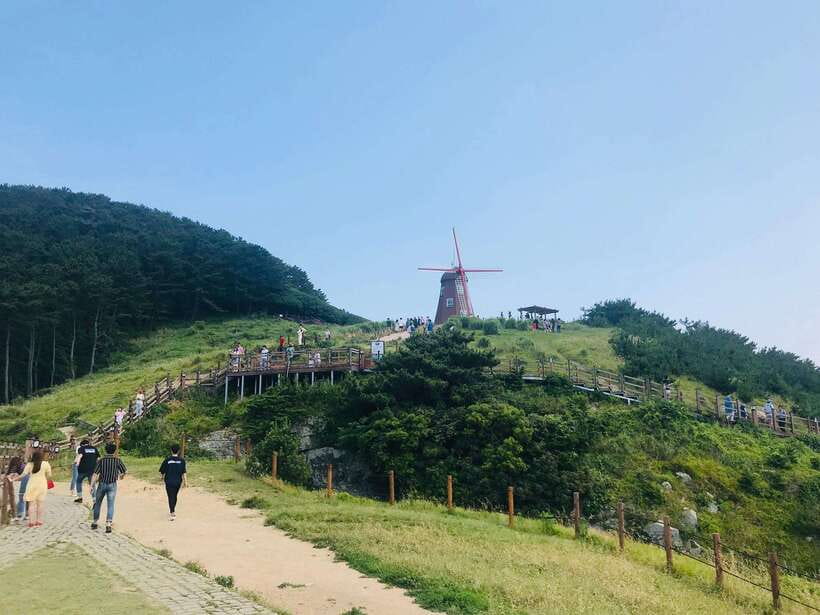 Busan: Geoje Coastal Escape, Sea Breeze, Oedo Botania Island - Guides, pace, and the practical feel of the day