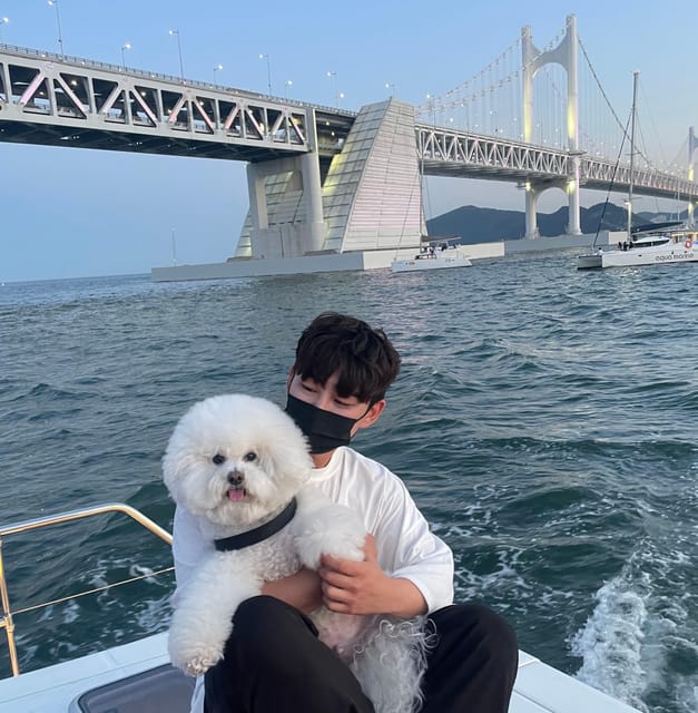 Busan: Group Sightseeing Yacht Cruise with Snacks and Drinks - Choosing the Best 50-Minute Departure