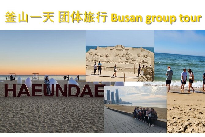 Busan Group Tour for Cruise ship passengers (Max 12 Guests) - Gamcheon Culture Village and the story behind the color
