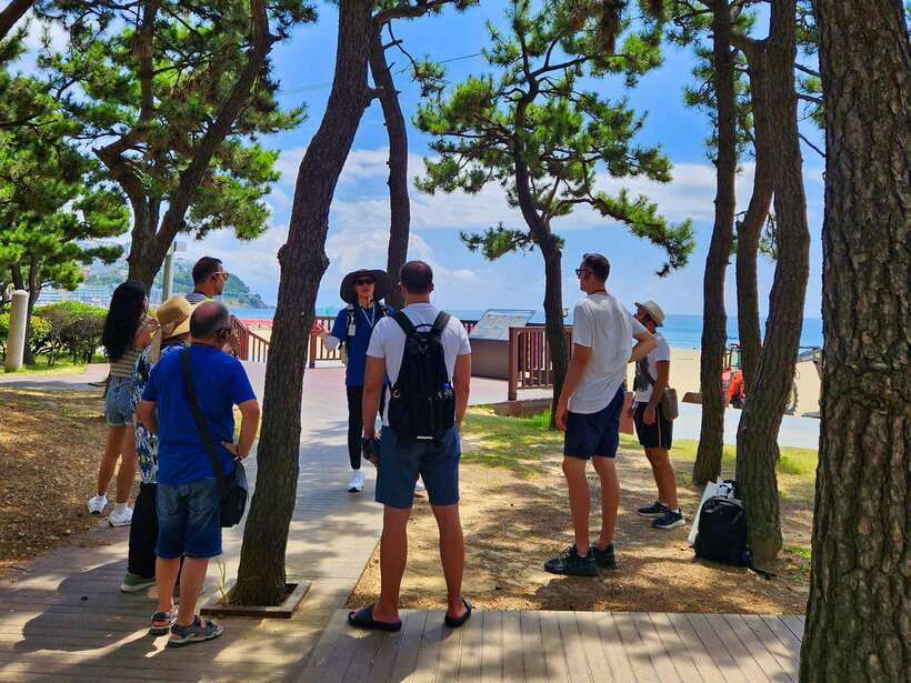 Busan: Haeundae 100-Minute Walking Tour - Why Haeundae Needs More Than a Beach Visit