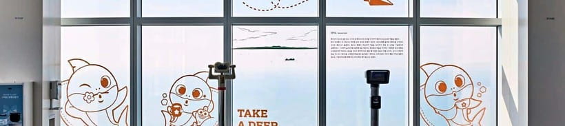 Busan: Haeundae LCT Tower 'X the Sky' Entry Ticket - Is $19 a fair price?