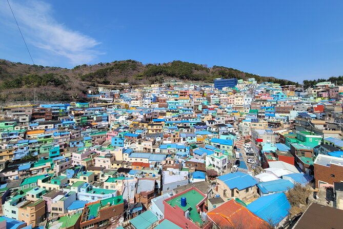 Busan Half-Day Customizable Private Tour in English - Key points to know before booking