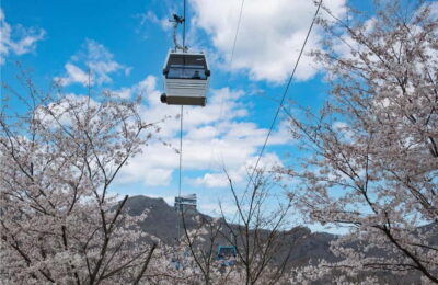 Hidden Gem Geoje & Oedo Botania Island & Cable car