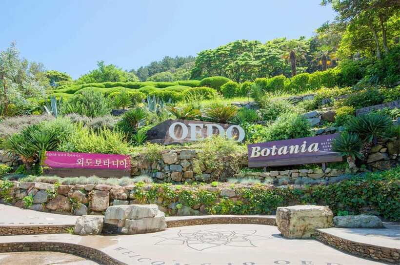Busan: Hidden Gem Geoje & Oedo Botania Island & Cable car - The Geoje Panorama Cable Car at 580 meters