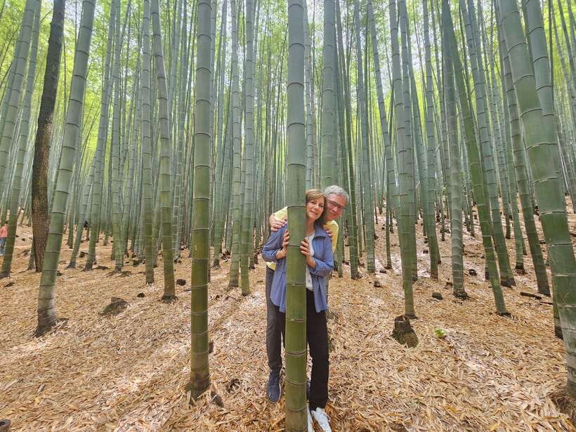 Busan: Hidden Gems Private Tour with a Certified Guide - Key points to know before booking