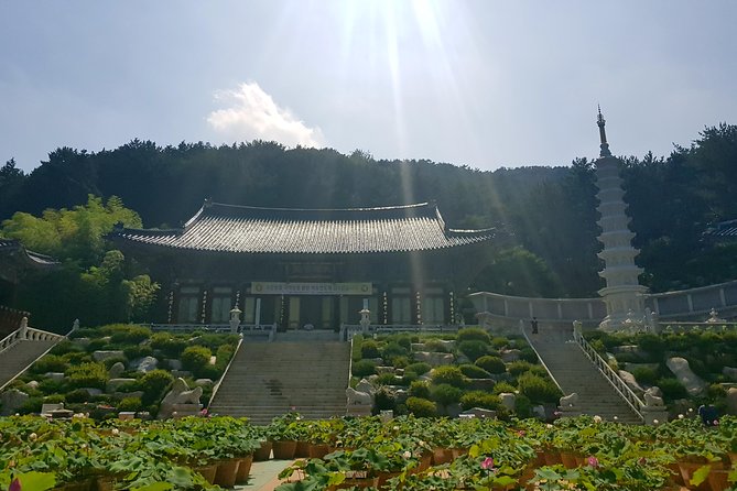 Busan Highlights Shore Tour – Cruise Return Assured - BIFF Square and Gukje Market show Busan’s everyday side