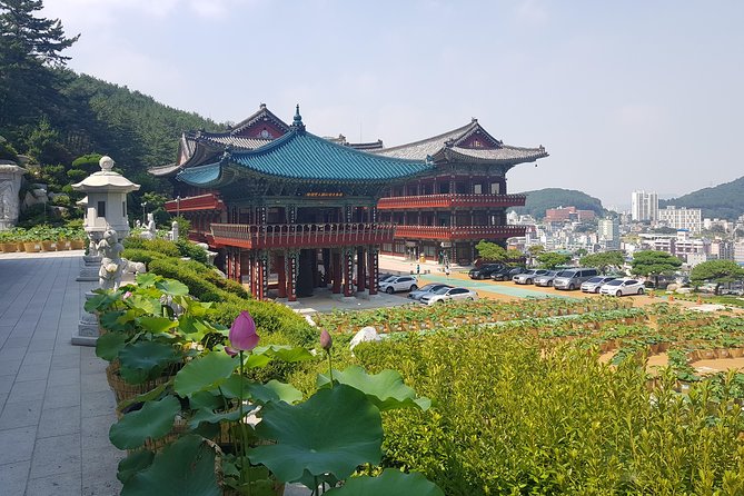 Busan Highlights Shore Tour – Cruise Return Assured - Samgwangsa Temple brings quiet to a busy day
