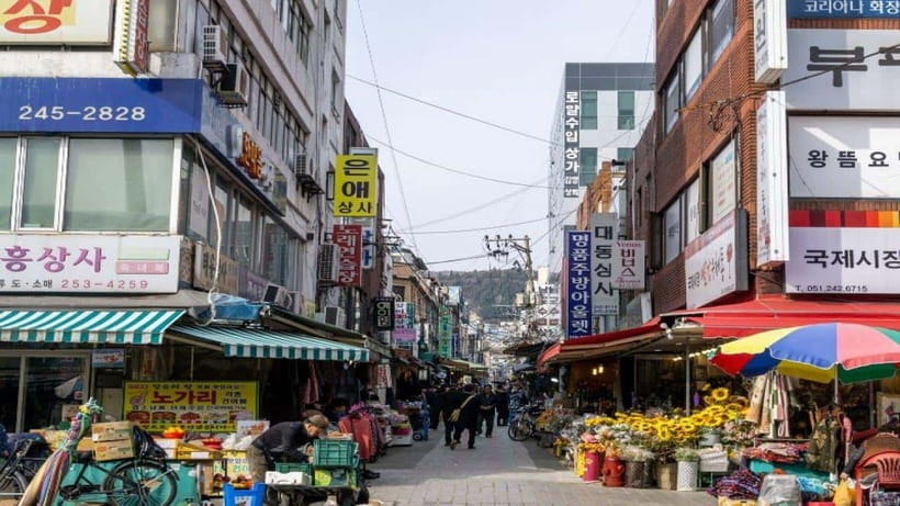 Busan: Jagalchi Market & Gamcheon village Walking Tour - What this four-hour Busan walk is really designed to do