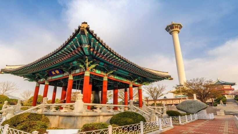 Busan: Jagalchi Market & Gamcheon village Walking Tour - Yongdusan Park and Busan Tower: a strong finish with city views