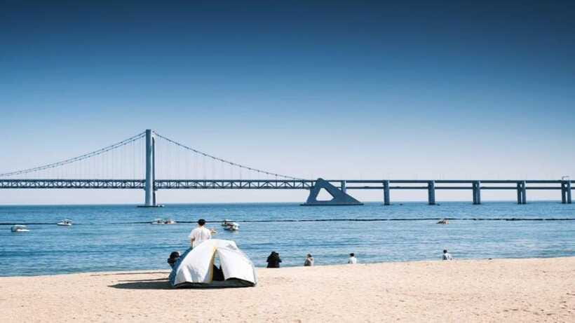 Busan: Jagalchi Market & Gamcheon village Walking Tour - Pace, transport, and what to wear