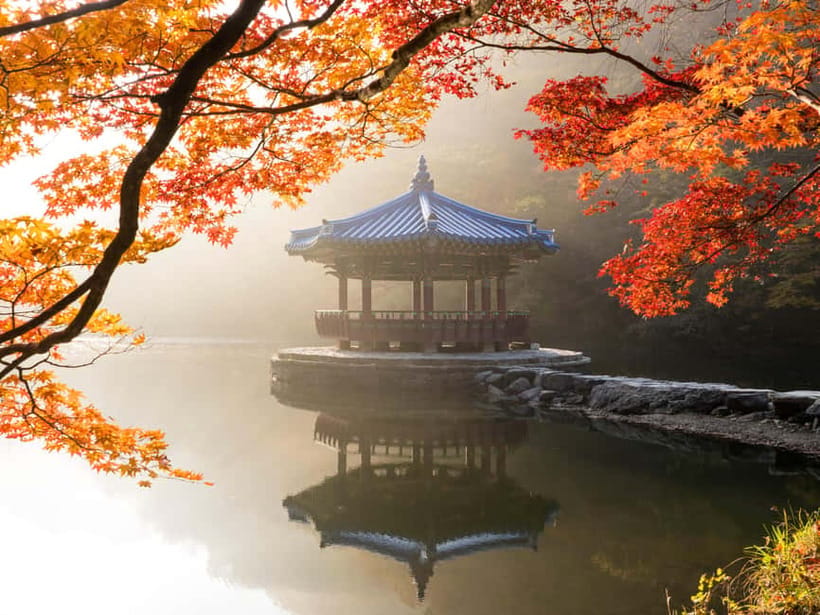 Busan: Naejangsan National Park Autumn Foliage One Day Tour - Why Naejangsan Is Korea’s Fall Foliage Favorite