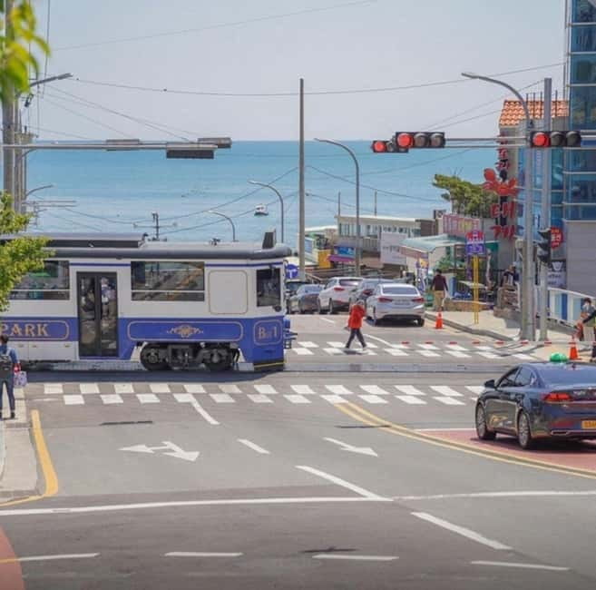 Busan: Private Chartered Car Tour - Why a private car makes sense in Busan