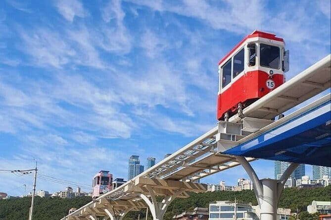 Busan Private Guide Tour : Enjoy customized tour only for you! - Why a private car makes sense in Busan