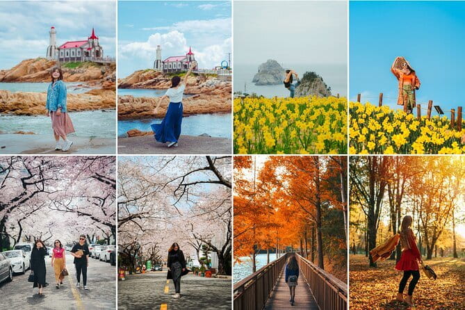 Busan private tour in English or Mandarin - Dongbaekseom and the APEC House walk