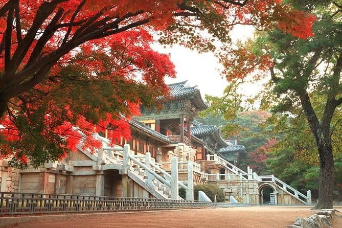 Busan private tour in English or Mandarin - Gamcheon Culture Village and the story behind the colors