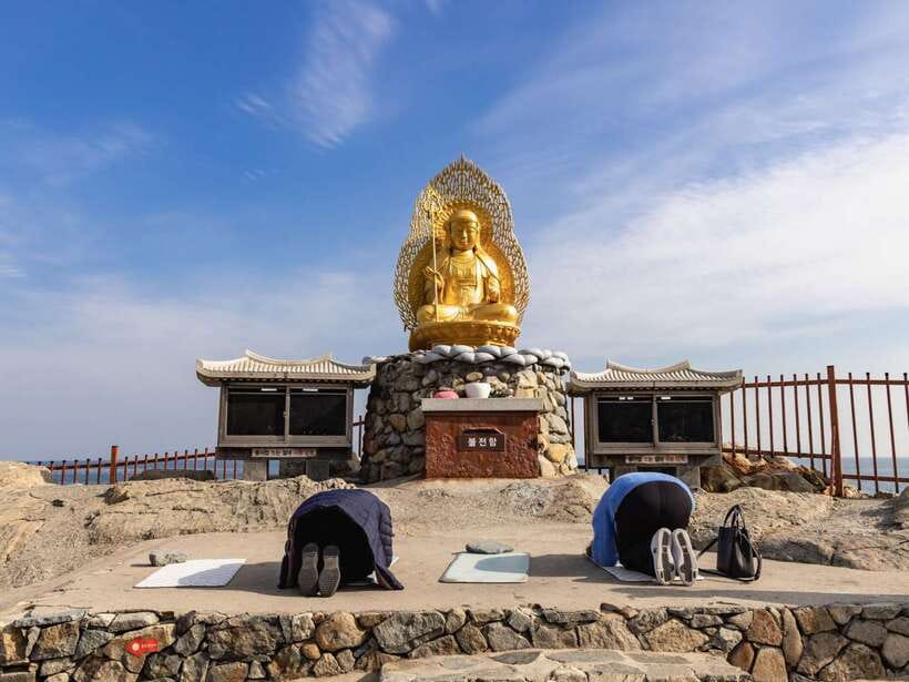 Busan's Best: Sea Temples, Yacht Tour & Sky Capsule Day Tour - Who should book this Busan tour?