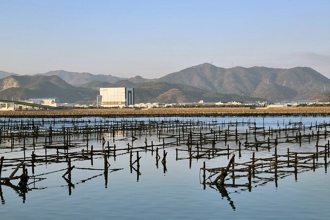 Busan Seafood Tour : Oyster village Tour with Oyster cuisines - What guides add to the visit