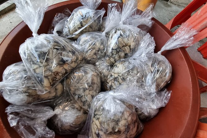 Busan Seafood Tour : Oyster village Tour with Oyster cuisines - How the four-hour schedule works