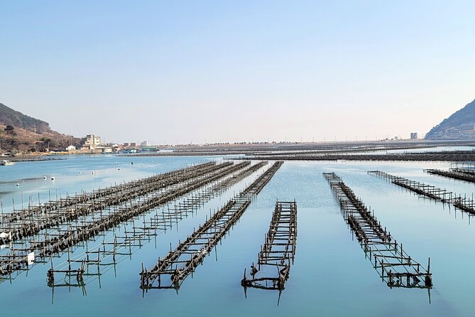 Busan Seafood Tour : Oyster village Tour with Oyster cuisines - Is $180 a fair price?
