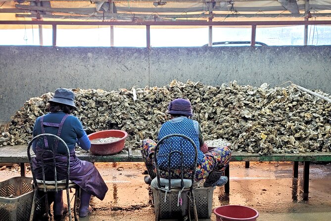 Busan Seafood Tour : Oyster village Tour with Oyster cuisines - The November through February limitation