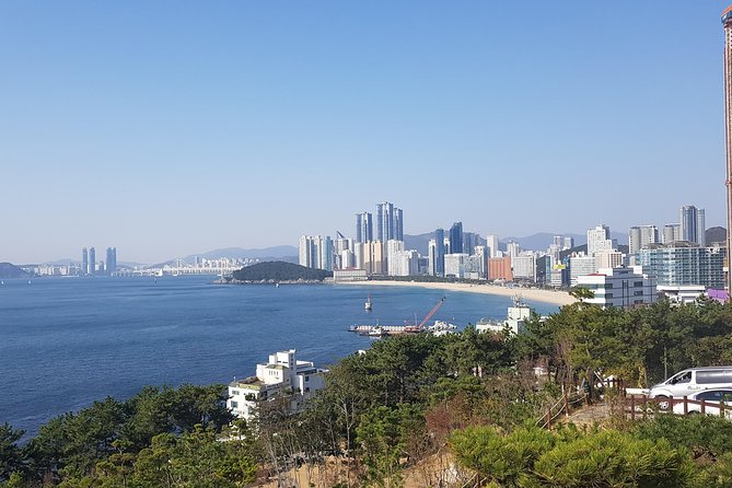 Busan Shore Excursion; Private City Tour - Key points at a glance