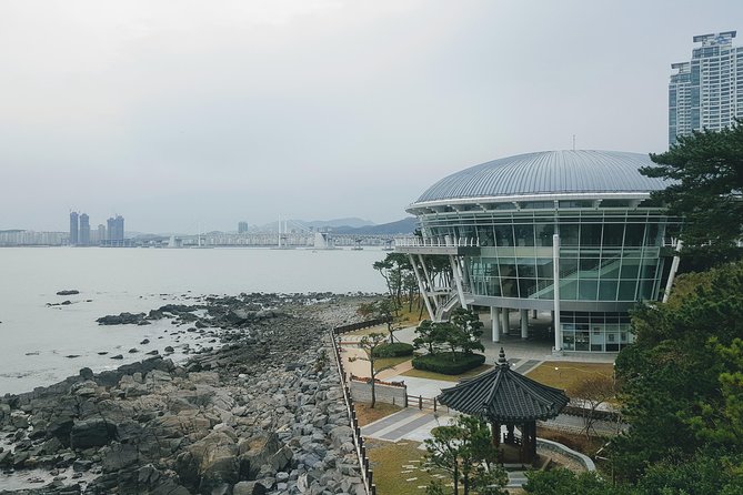 Busan Shore Excursion; Private City Tour - A short film stop at BIFF Square