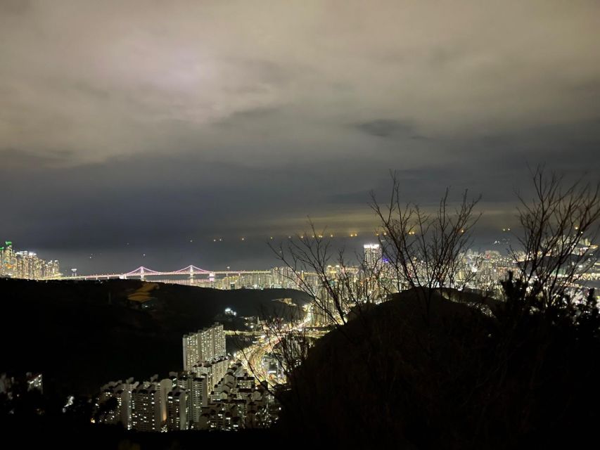 Busan: The Best Night View Small Group Tour - Local stories from guides such as Hugyou and Junwoo