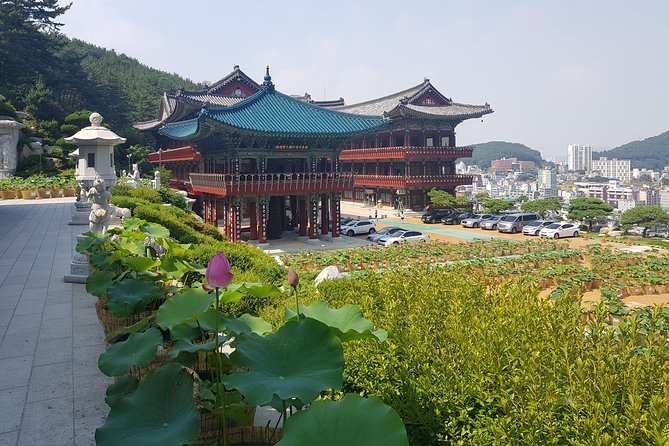 Busan Tour: Gamcheon Village & Haedong Yonggungsa Temple + Lunch - Korean BBQ lunch and the value of the meal