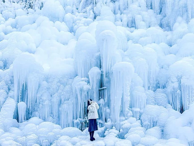 Busan: Winter Healing Park and (Gyeongju/Daegu) One Day Tour - Kookmin Healing Park gives the day its winter character