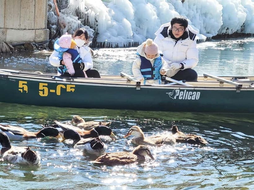Busan: Winter Healing Park and (Gyeongju/Daegu) One Day Tour - FAQ