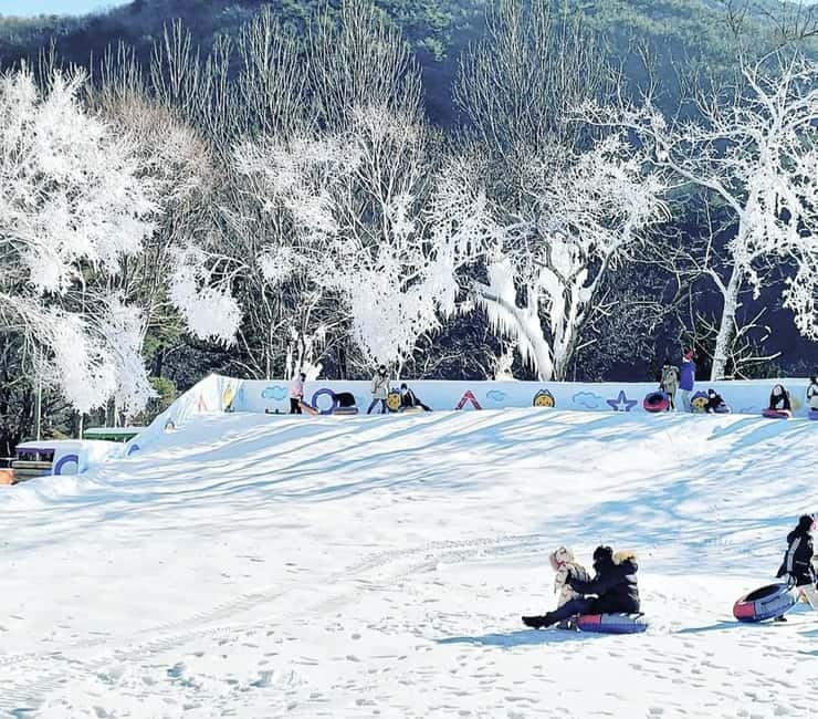 Busan: Winter Healing Park and (Gyeongju/Daegu) One Day Tour - The Gyeongju route connects major sights without a complicated transfer