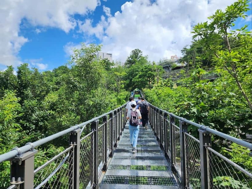 Closest Observatory to DMZ: North Korea View(Starbucks Tour) - Why Aegibong feels different from a standard DMZ visit