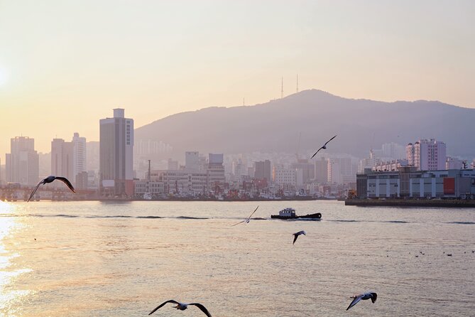 Colors of Busan: Sky Capsule, Jagalchi Market & Night Views - Why This Busan Route Works
