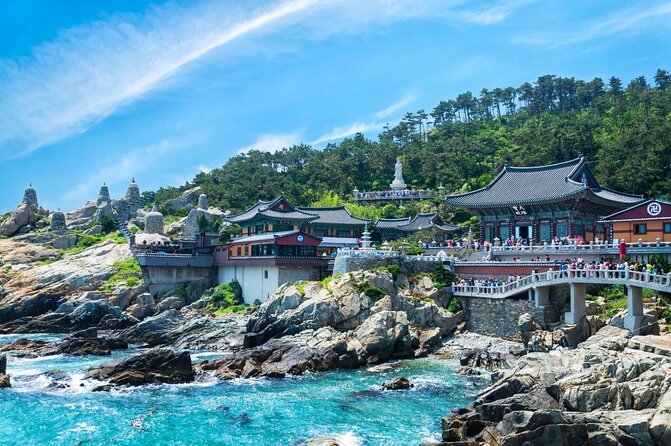 Cruise Layover Busan Highlight Tour with Sea temple and Gamcheon - Why this tour works for a short Busan stop