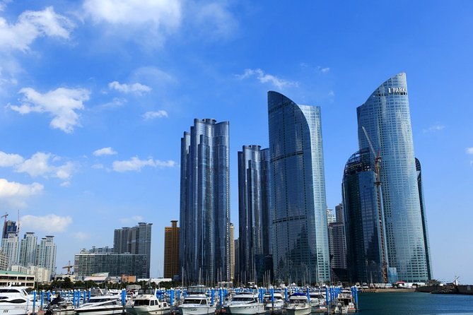 Cruise Layover Busan Highlight Tour with Sea temple and Gamcheon - BIFF Square, Gukje Market, and the best food break