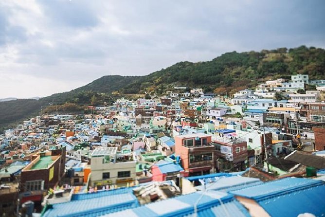 Cruise Layover Busan Highlight Tour with Sea temple and Gamcheon - Jagalchi Market and the working side of Busan