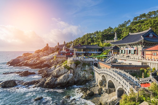 Cruise Layover : Small Group Busan Highlight Day Tour - Key points before you book