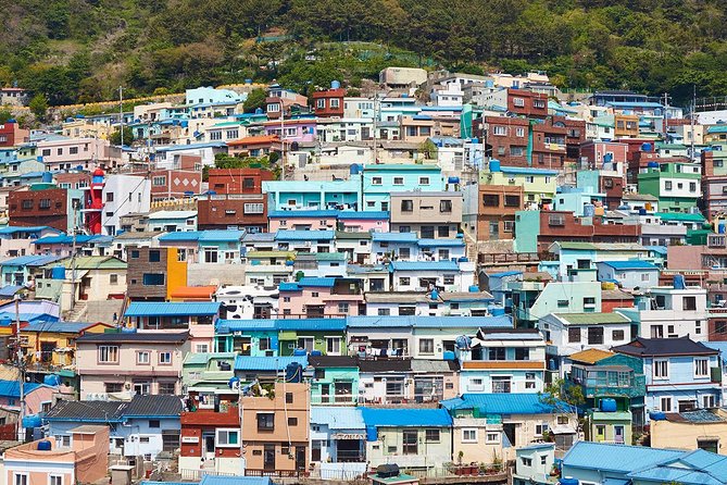 Cruise Layover : Small Group Busan Highlight Day Tour - Gamcheon Culture Village: colorful hills with real history