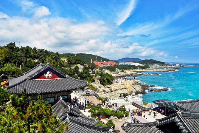 Cruise Layover : Small Group Busan Highlight Day Tour - Gukje Market: a short taste of old Busan
