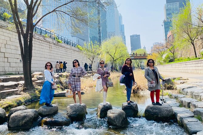 Customizable Seoul Private Tour Palaces Food and Markets - Cheonggyecheon Stream and a quick city pause
