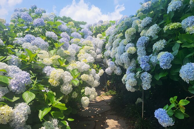 Customized private tour in Jeju island - Why a private Jeju day makes sense
