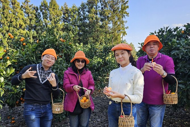 Customized private tour in Jeju island - How the customization really works