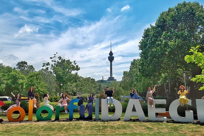 Daegu Highlights & private tour with a Licensed guide - The herbal medicine market in 30 minutes