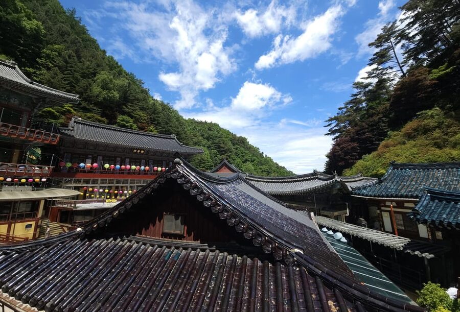 Danyang Tour:Guinsa Temple & Bobaljae & Cheongpung Cable Car - How the experience feels as a complete day