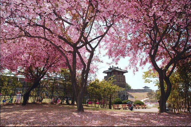 Day Tour of Suwon Hwaseong Fortress Starfield Waujeongsa Temple - What the $54.95 price really includes