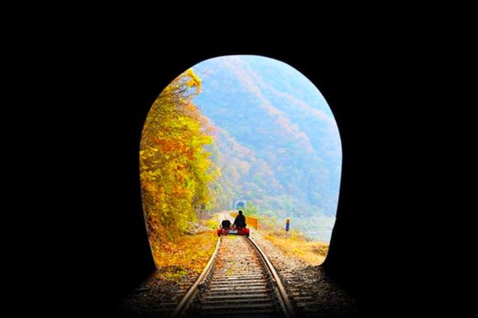 Day Tour to Gangchon Rail Bike Nami Island and Petite France - What the private format really gives you