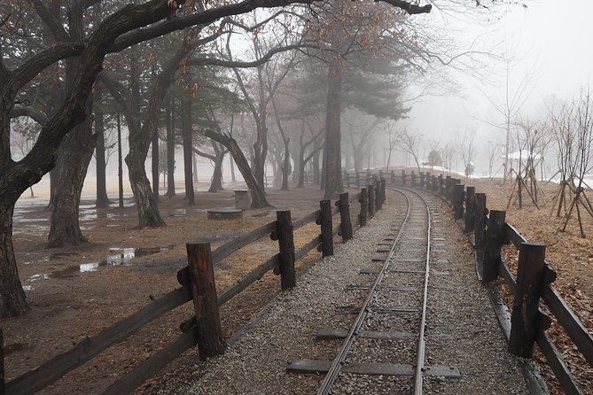 Day Tour to Gangchon Rail Bike Nami Island and Petite France - Is $169.24 per person fair?