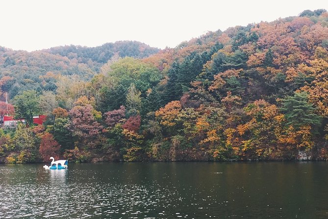 Day Tour to Gangchon Rail Bike Nami Island and Petite France - Pedaling through Gapyeong on the rail bike